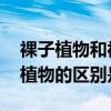 裸子植物和被子植物的区别 裸子植物和被子植物的区别是什么