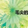 毛尖的好处 毛尖的好处有什么