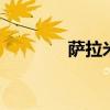 萨拉米是什么 什么是萨拉米