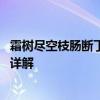 霜树尽空枝肠断丁香结的意思是什么 霜树尽空枝肠断丁香结详解