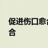 促进伤口愈合的食物 哪些食物有利于伤口愈合