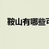 鞍山有哪些可以带走的特产 辽宁鞍山特产