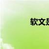 软文是什么意思 什么是软文