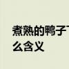 煮熟的鸭子飞了什么意思 煮熟的鸭子飞了什么含义