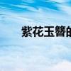 紫花玉簪的具体形态 紫花玉簪的形态