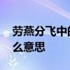劳燕分飞中的劳指的是 劳燕分飞中的劳是什么意思