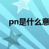 pn是什么意思啊 网络上pn是什么意思啊