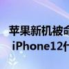 苹果新机被命名为iPhone12mini是怎么回事 iPhone12什么时候才发布