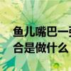 鱼儿嘴巴一张一合是干什么 鱼儿嘴巴一张一合是做什么