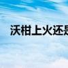 沃柑上火还是降火 沃柑到底上火还是降火