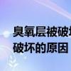 臭氧层被破坏的主要原因是什么 导致臭氧层破坏的原因