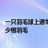 一只羽毛球上通常有多少根羽毛 一只羽毛球上通常应该有多少根羽毛