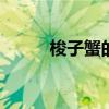 梭子蟹的做法 梭子蟹怎么炒好吃