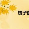 梳子的种类 梳子有哪些种类