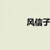 风信子有毒吗 风信子有没有毒