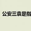公安三袁是指哪些人 公安三袁是指哪三个人