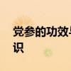党参的功效与作用禁忌 食用党参养生的小常识