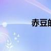 赤豆的功效与作用 赤豆图片