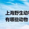 上海野生动物园门票多少钱 上海野生动物园有哪些动物