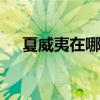 夏威夷在哪个位置 夏威夷在哪里是哪个