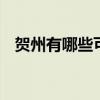 贺州有哪些可以带走的特产 广西贺州特产