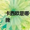 卡西欧是哪个的品牌 卡西欧手表是哪个的品牌
