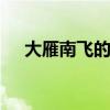 大雁南飞的象征意义 大雁南飞象征什么
