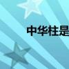 中华柱是什么颜色的 中华柱的颜色