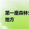 第一座森林公园在哪 第一座森林公园在什么地方