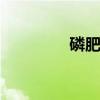 磷肥有哪些 磷肥包括哪些