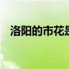 洛阳的市花是什么 洛阳的市花是什么花啊