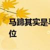 马蹄其实是马的什么 马蹄其实是马的哪个部位