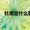 杜甫是什么朝代的 杜甫是什么朝代的诗人