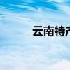 云南特产有什么 云南有哪些特产