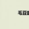 毛豆的做法 毛豆怎么炒好吃