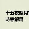 十五夜望月寄杜郎中古诗的意思 十五夜望月诗意解释