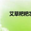 艾草粑粑怎么做 艾草粑粑的家常做法