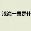 沧海一粟是什么意思 沧海一粟的意思是什么