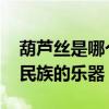 葫芦丝是哪个民族的乐器 葫芦丝是哪个少数民族的乐器 