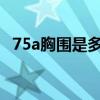 75a胸围是多少cm 胸围是指上胸围还是下