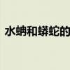 水蚺和蟒蛇的区别 水蚺和蟒蛇的区别是什么