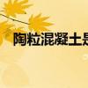 陶粒混凝土是什么 陶粒混凝土是什么意思