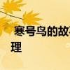  寒号鸟的故事 寒号鸟的故事告诉我们什么道理