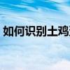 如何识别土鸡蛋  怎样辨别鸡蛋是不是土鸡蛋
