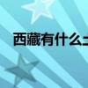 西藏有什么土特产 西藏的土特产都有哪些