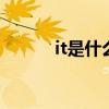 it是什么牌子 it是什么牌子包包