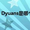 Dyuans是哪个的品牌 Dyuans是什么的品牌
