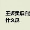 王婆卖瓜自卖自夸中卖的是什么瓜 王婆卖的什么瓜