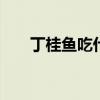 丁桂鱼吃什么食物 丁桂鱼主要吃什么