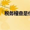 税务稽查是什么意思 税务稽查是干什么的